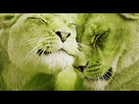 Dub Terror | Featuring Warrior Queen | Reload Warrior