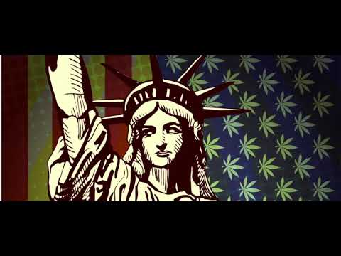 Tagesdosis 13.11.2018 - Gibt Trump den Hanf frei ?  (kV)