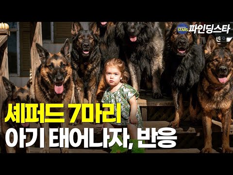태어나자, 7마리 쉐퍼드 키우던 엄마 힘든 결정 내렸더니