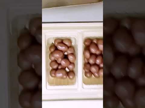 Cadbury Celebrations Rich dry fruits collection .Chocolate coated dry fruit balls. #Valentine #short