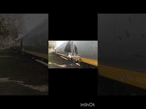 TREN 5016 - 9771 CON TOLVAS DE ORIGEN CHINO 