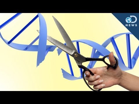 遺伝子治療はどのようにして行われるのか？ (How Does Gene Therapy Work?)