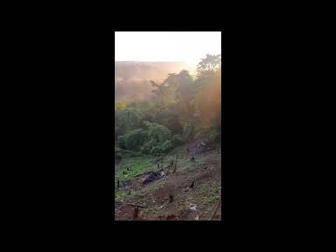 Dota 2 - Opening Hallowed Chest of the Diretide until I get an Immortal Set (DAY 2)