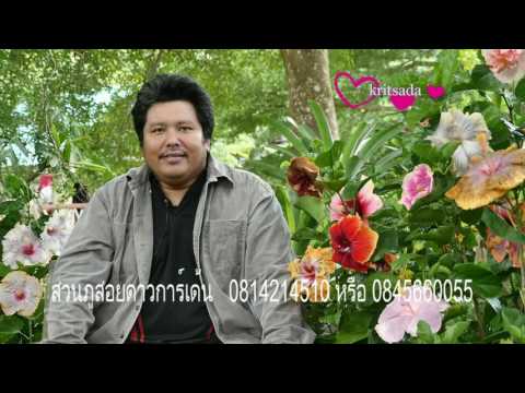 ผู้ชายของฉันขนาดเล็กขนาดใหญ่กระเจี๊ยวใหญ่ เจลครีมคิดเห็นเรี่ยวแรง