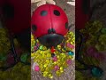 GIANT LADYBUG 🐞 VS SMALL BUG 🧐//INSECTS COMPARISON 🤨#shorts #insects #ladybug #comparison #viral