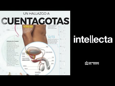 Intellecta: Un Hallazgo a Cuentagotas
