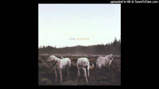 Foxing - The Albatross - 06 Bit By a Dead Bee pt. I
