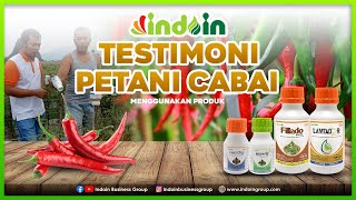 Download lagu Rahasia Petani Cabai Payakumbuh! Hasil Melimpah & Produktif Setahun Penuh. mp3