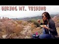 SPRING IN JAPAN | Hiking at Mt. Yoshino