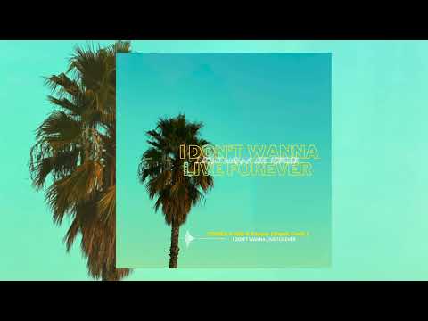 COOPEX & HUX & Poylow ( cover remix ) Vizualizer