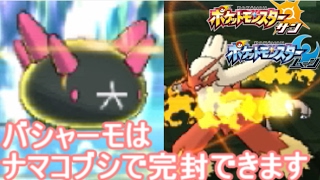 ナマコブシ ポケットモンスター サダイジャ パルシェン ドラパルト