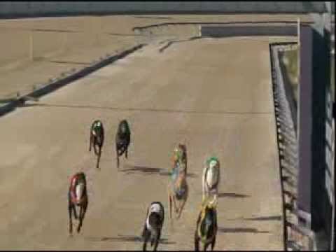 Maitland-12122013-Rennen-6