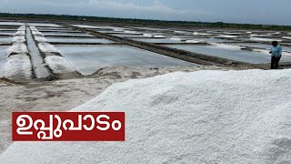 Salt making process |how to make salt #salt #tamilnadu #india #tuticorin