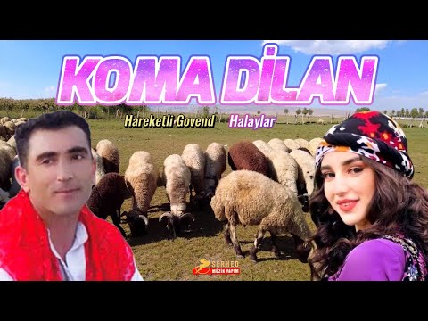 Koma Dilan - Eliko Lawo -Hareketli Govend Halaylar