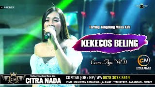 Download lagu KEKECOS BELING Tengdung ~ AYU WD || CITRA NADA LIVE DESA LEMBARAWA (BLOK LOR )- BREBES mp3 Download lagu KEKECOS BELING Tengdung ~ AYU WD || CITRA NADA LIVE DESA LEMBARAWA (BLOK LOR )- BREBES mp3