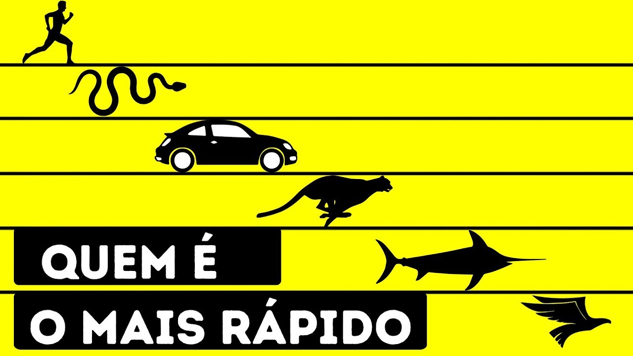 Quem É o Ser Vivo Mais Rápido do Mundo?