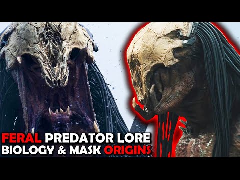 Feral Predator Lore - Skull Mask Origins Revealed - Biology Explained - Prey 2 Samurai vs Yautja?