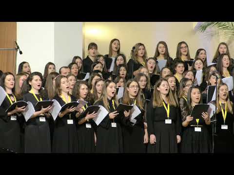 Corul Reunit Amicus - Singur in noaptea rece