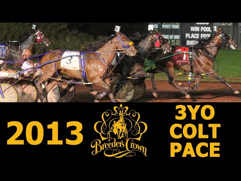 2013 Breeders Crown - Captaintreacherous - 3CP