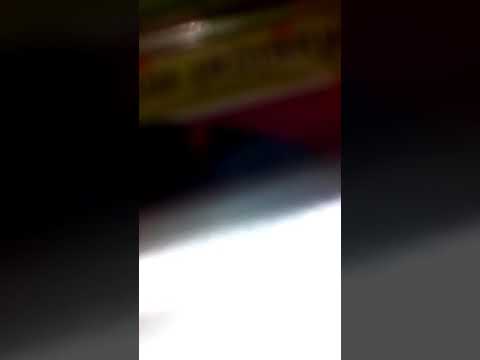 Bibi und Tina 98 Prozent