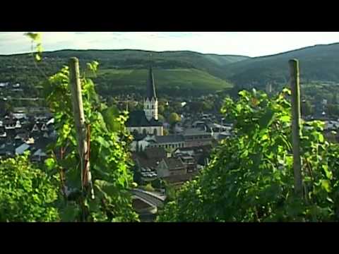 Ahr - German wine-growing region