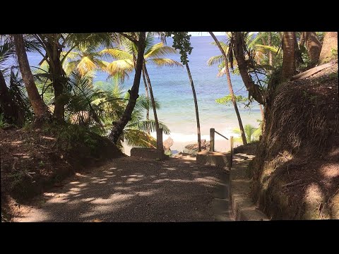 Blanchisseuse Village - Trinidad North Coast Heaven