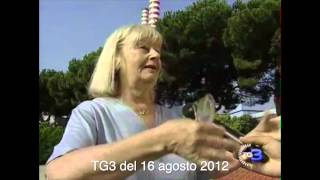 preview picture of video 'Ilva a Taranto - Carbone a Vado Ligure // Rai - TG3 16 agosto 2012'