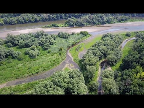 Lebendige March-Auen