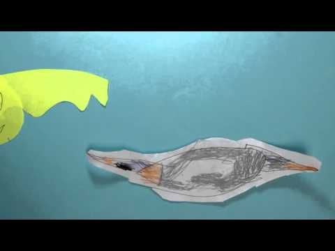 Vydání dětské knihy - Netopýří chmýří