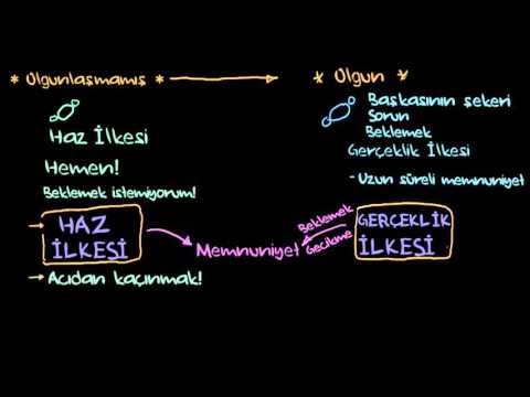 Freud: Ölüm İçgüdüsü, Gerçeklik İlkesi ve Haz İlkesi (Psikoloji / Davranış)