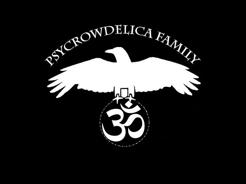 HOMENAJE A CANNIBAL CROW / PSYCROWDELICA FAMILY VISUALS BY: VJ VORTEX