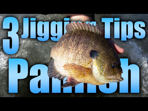 Top 3 Panfish Jigging Tips
