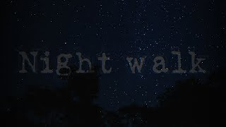 Cover art for Night Walk