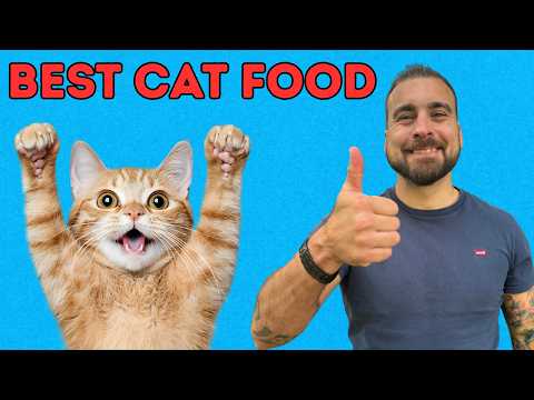 🐱 What Should Cats Really Eat? A Nutritionist’s Guide