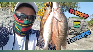 Download lagu BEST 5 LURES FOR SHORE SALTWATER FISHING | techniques mp3