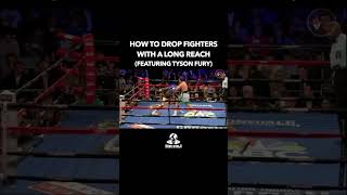 How To Drop Fighters With Long Reaches - #boxing #tysonfury #training #canelo #anthonyjoshua
