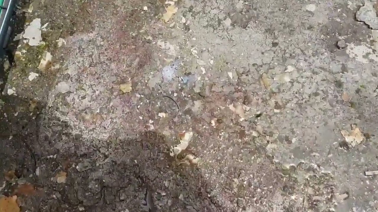 수중에서도 시공되는 다마가특수시공 영…