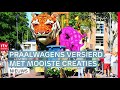 Bloemencorso Eelde, inzameling voor kankeronderzoek & sprinten in Hoogeveen | Drenthe Nu