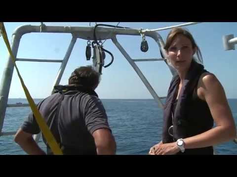 Ocean Sampling Day à bord de Tara - Tara Méditerranée 2014