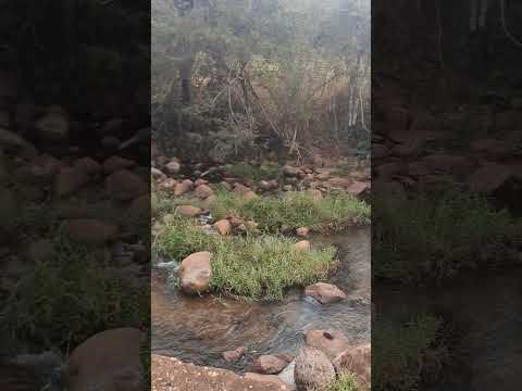 RIO DA ONÇA JOAQUIM FELICIO MG ❤️