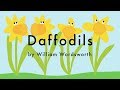 Daffodils Poem by William Wordsworth - I Wandered Lonely as a Cloud