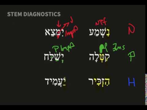 Easy Stem Diagnostics - Nutshell Biblical Hebrew