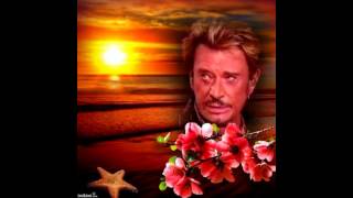 film video johnny hallyday mon anneau d'or 3