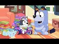 Library | Brand New Season 2 | Bluey