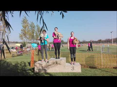 Kókusz Kraft Agility Kupa 2018.10.14.