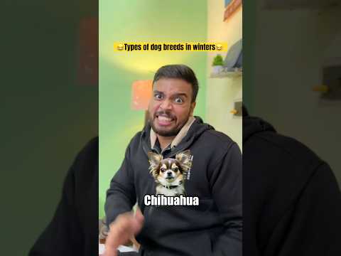 😂Types of dog breeds in winters😂 #shorts #trending