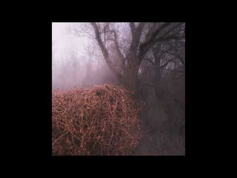 THE DEVIL'S TRADE - Nincs Szennyezetlen Szép [FULL ALBUM] 2025