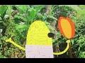 Meekohontas And The Sisaket Thailand Holiday Home Movie Howie Dog Fire Oil