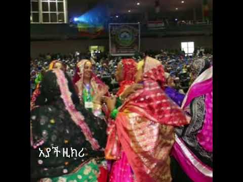 harari zkri ayache 3