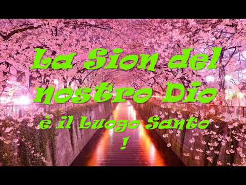 Testo Grande è il Signore di Nicola Militello